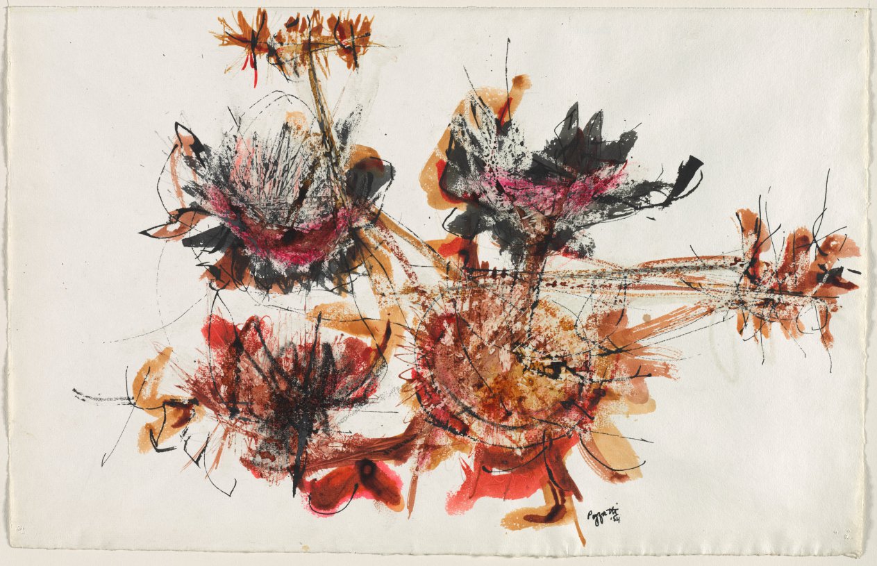 Mums, Rudy O. Pozzatti, 1954
