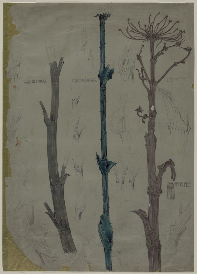 Hemlock, Thistle, and Hogweed, August Biehle, Jr., 1903–1905