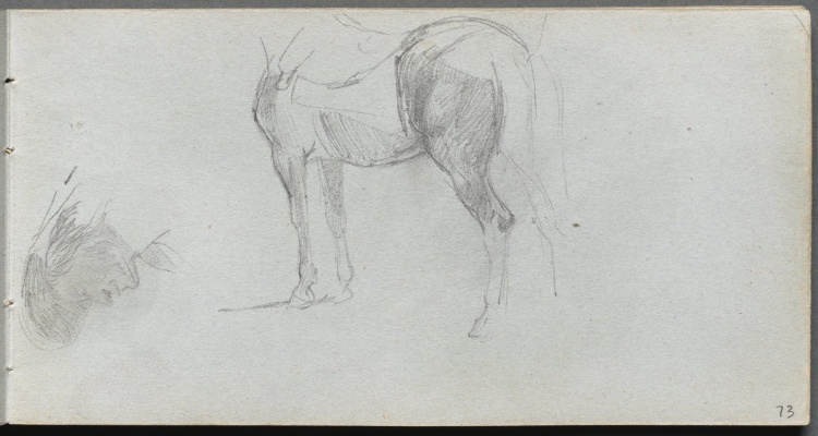 Sketchbook, page 73: Study of a Horse, profile