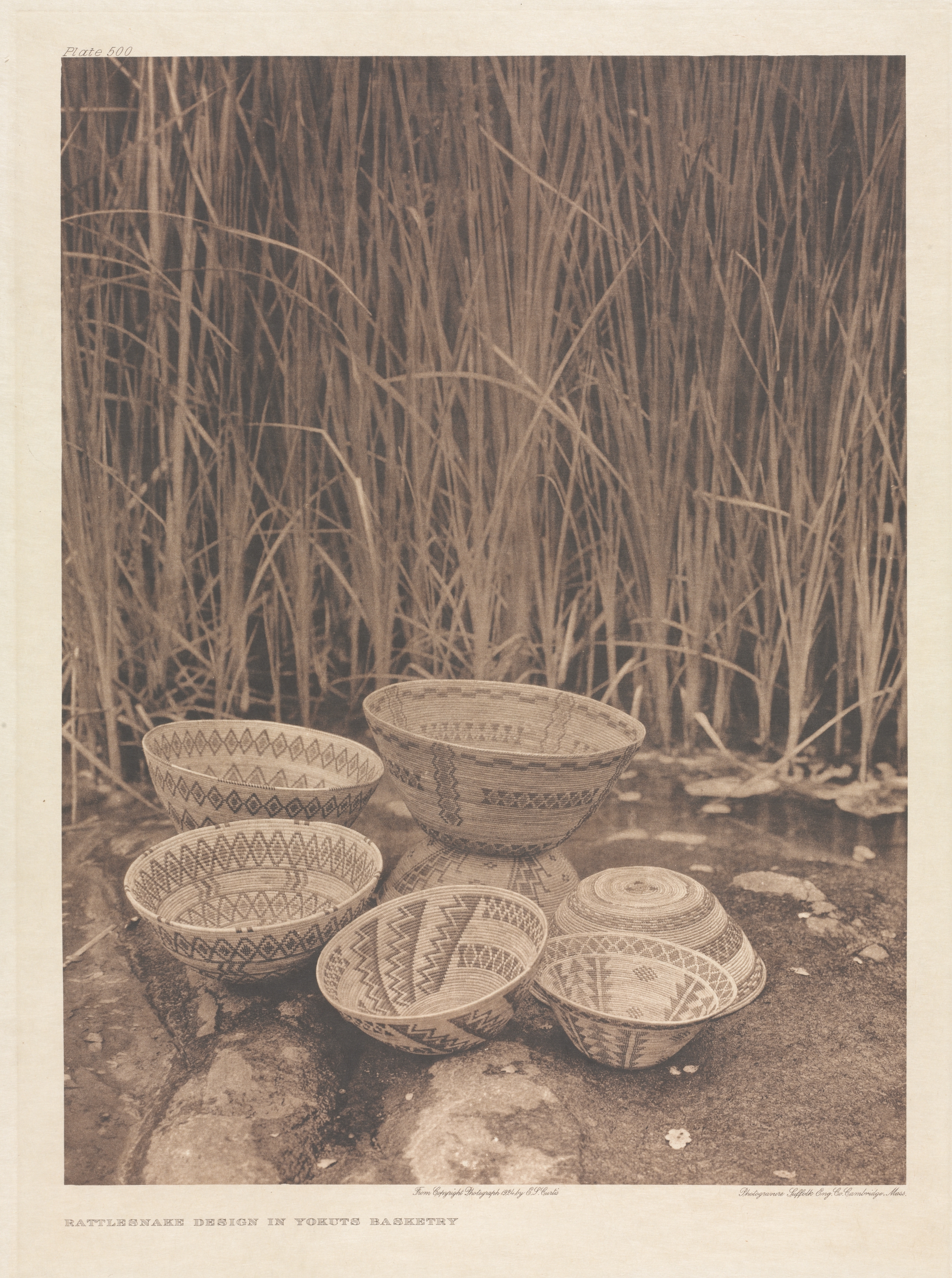 Portfolio XIV, Plate 500: Rattlesnake Design in Yokuts Basketry