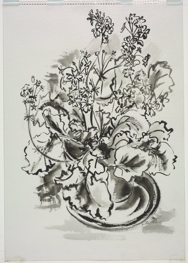 Potted Primula, Janet L. Mack, 1955
