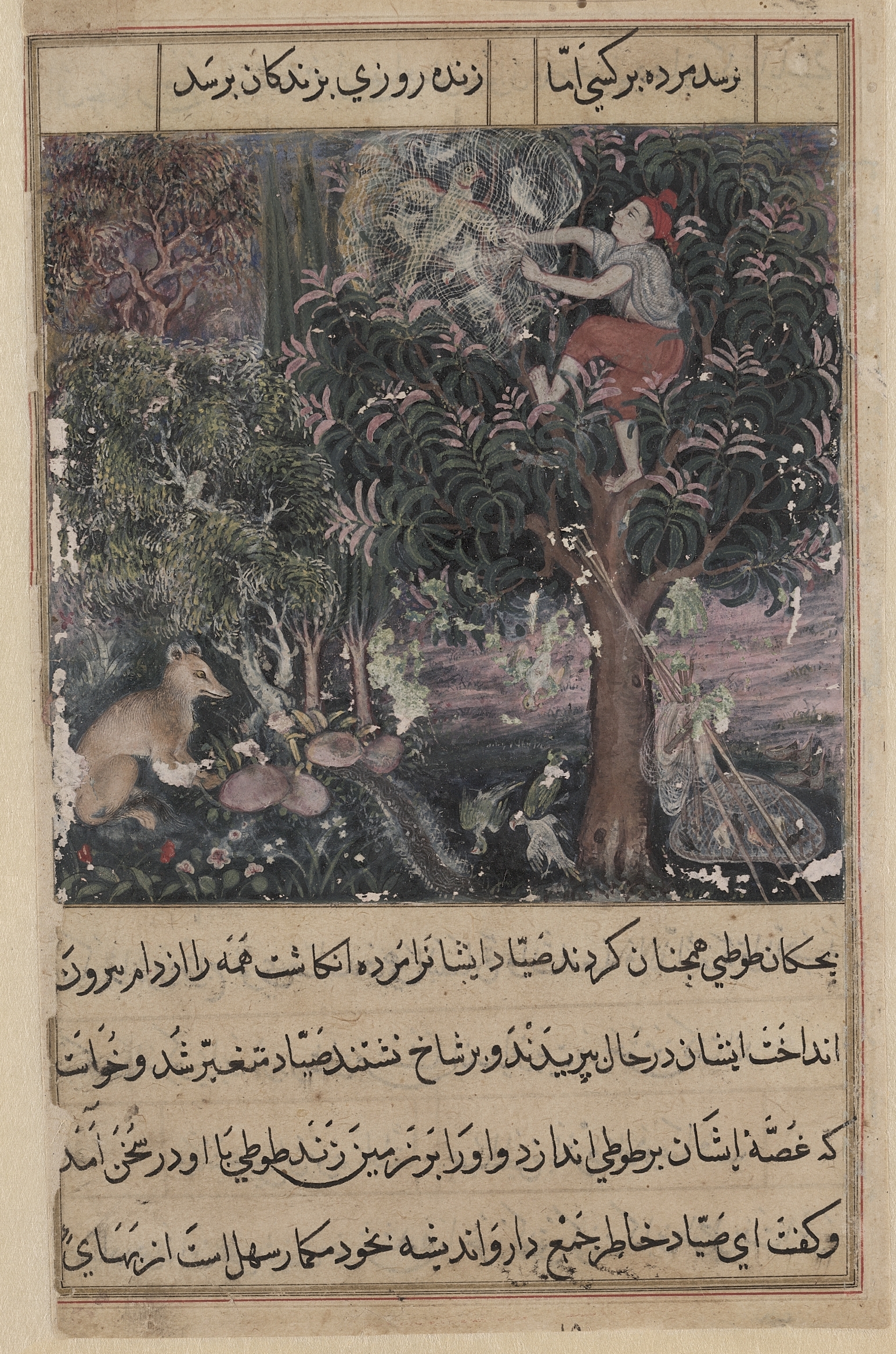 The hunter throws away the baby parrots, who pretend to be dead, and captures the mother, from a Tuti-nama (Tales of a Parrot): Fifth Night
