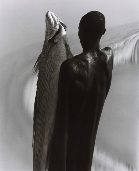 Akan Fisherman, Ghana: Return