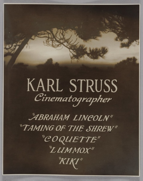 Karl Struss, Cinematographer