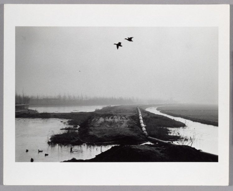 Ducks Fly Over Pipeline and Winter Landscape, Near Amsterdam, Holland