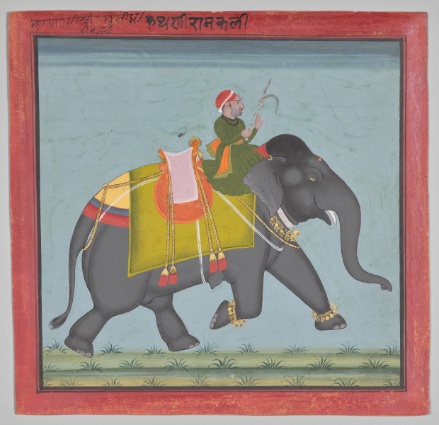 Royal Elephant Ramkali with a Mahout