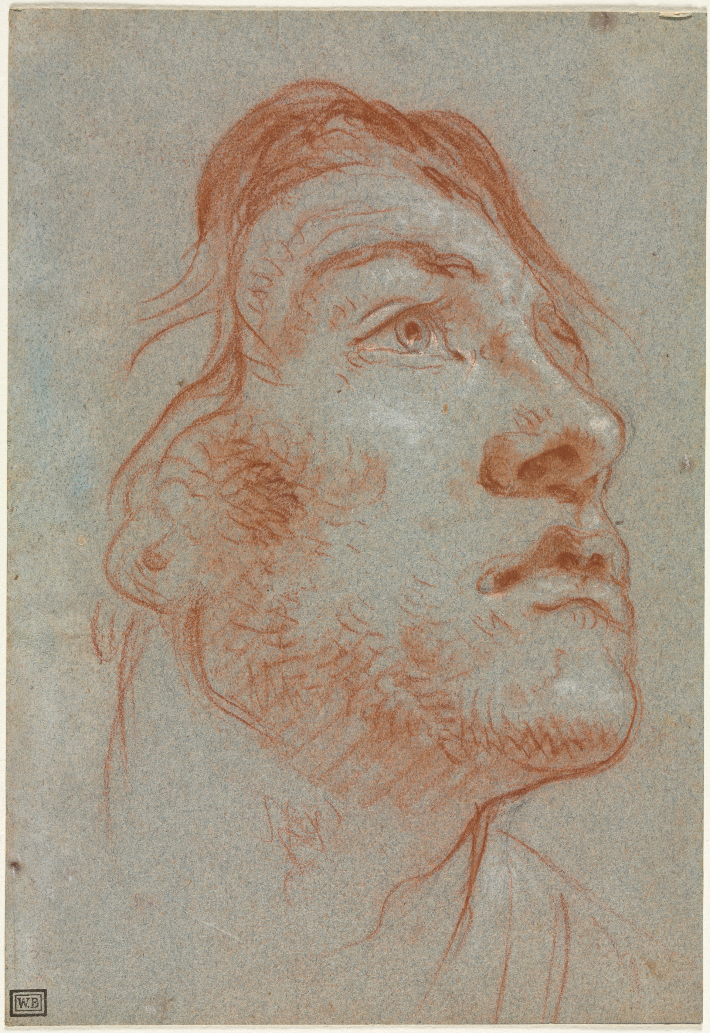 The Head of a Young Man Looking Upwards to the Right