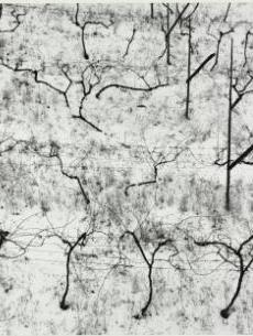 body object series #13 • toothpick suit/chair | Cleveland Museum of Art