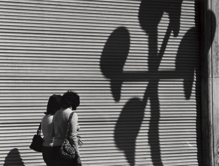 Two Women, a Large Blind, and Shadows