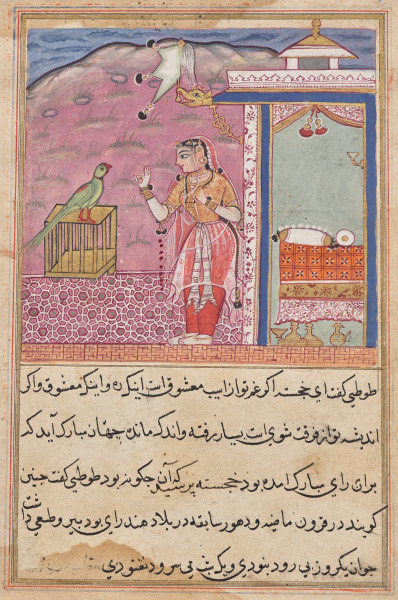 The parrot addresses Khujasta at the beginning of the forty-fourth night, from a Tuti-nama (Tales of a Parrot)