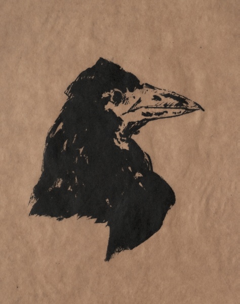 Raven's Head in Profile