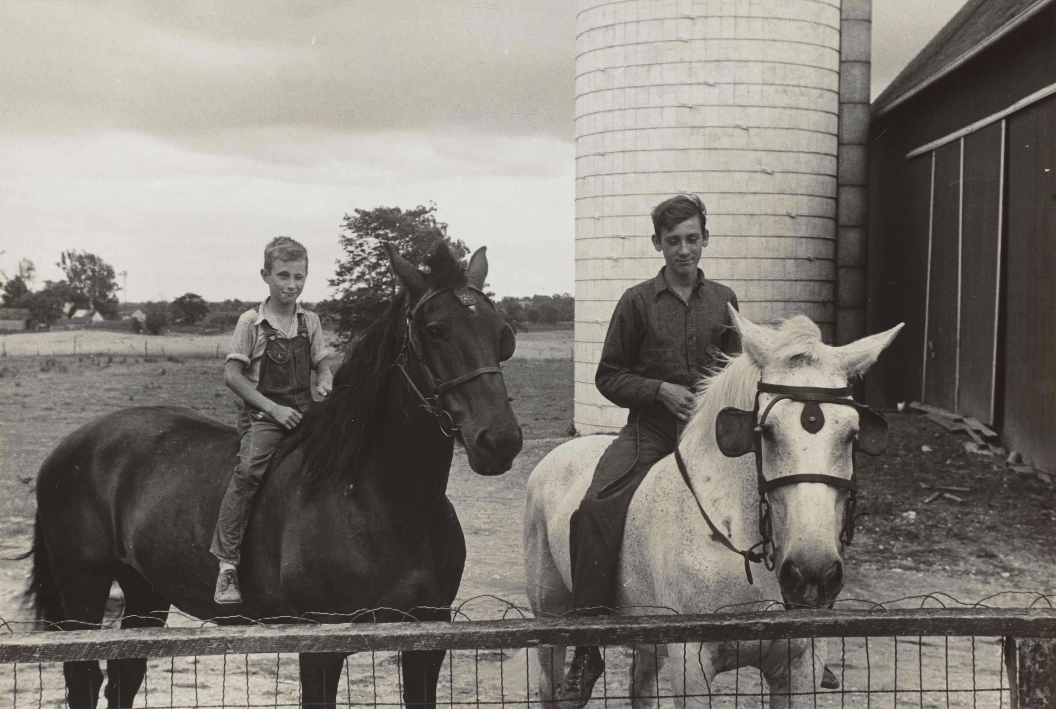 Sons of Mr. Thaxton, farmer, on horseback in farmyard, near Mechanicsburg, Ohio
