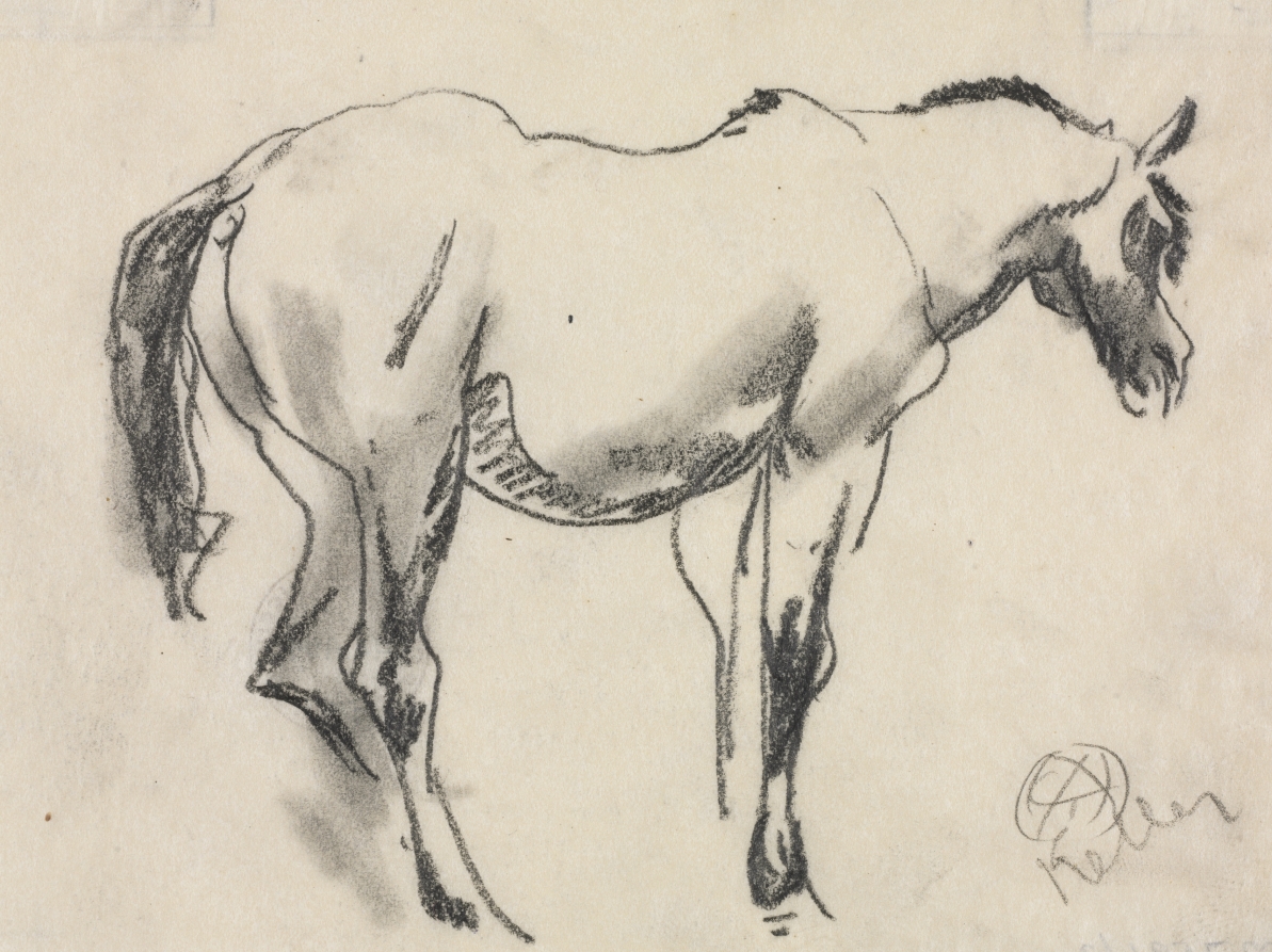 Study of a Horse (Standing and Facing Right), Henry Keller, c. 1891–1944