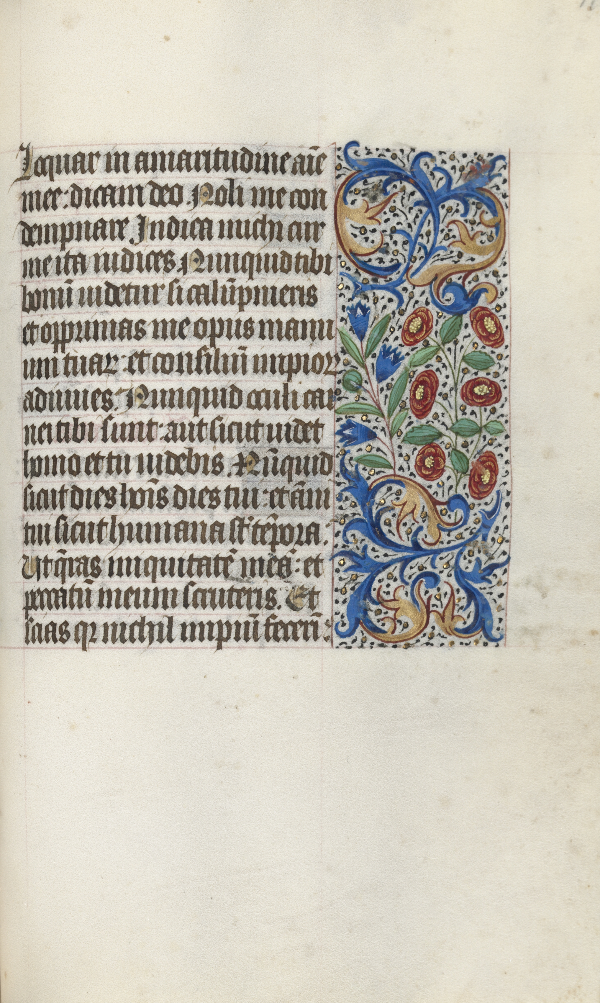 Book of Hours (Use of Rouen): fol. 116r