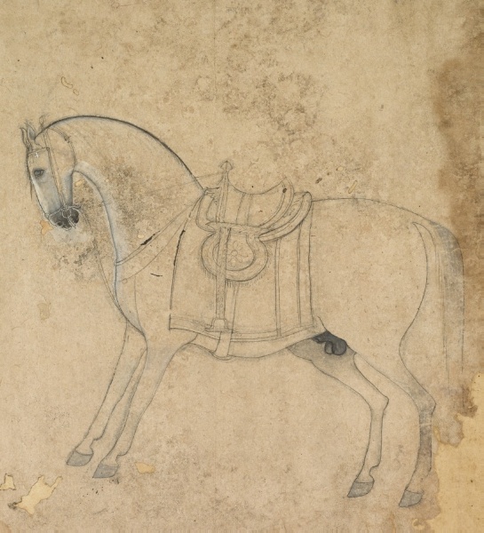 A Saddled Horse