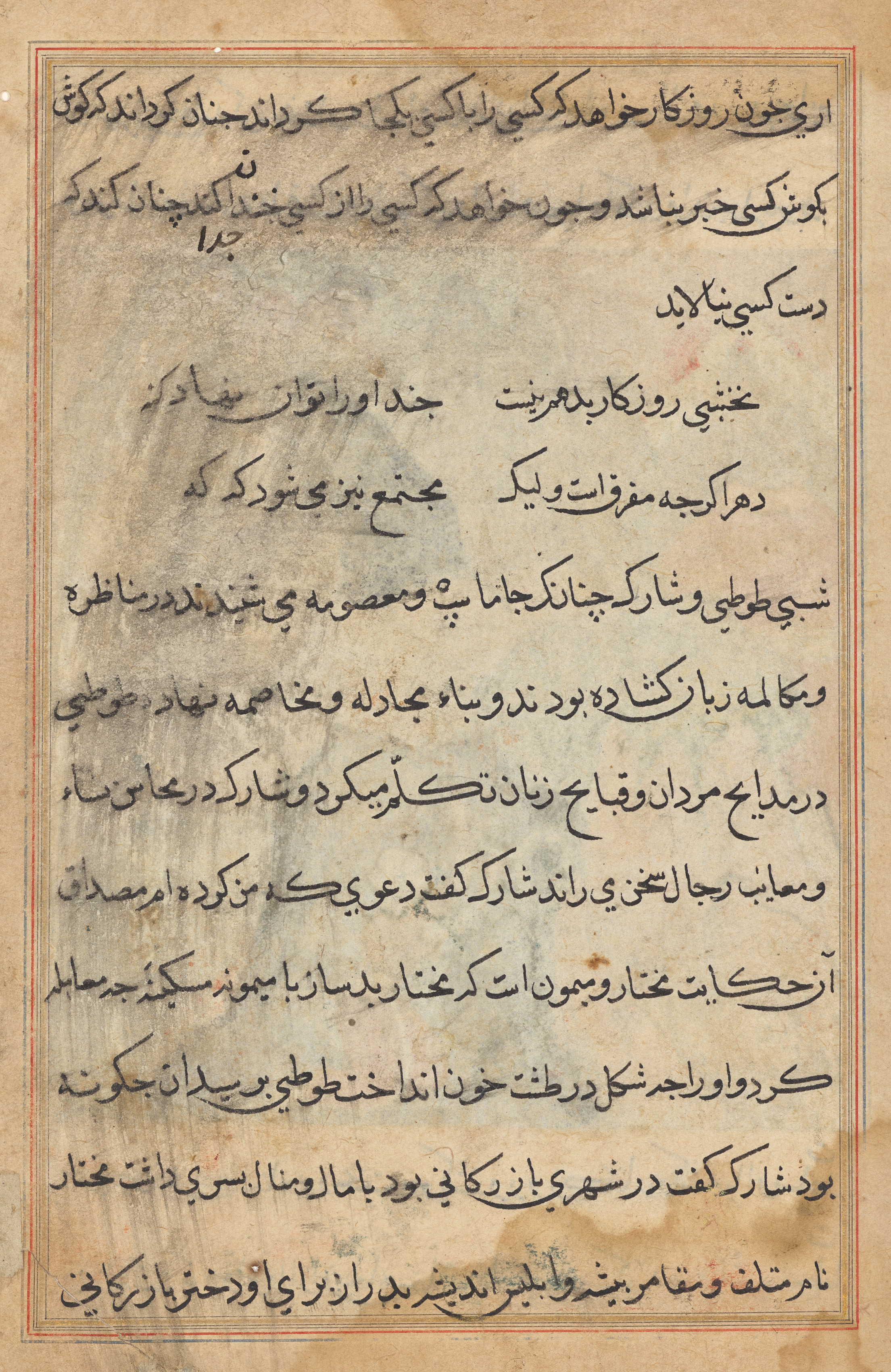 Text page from a Tuti-nama (Tales of a Parrot)