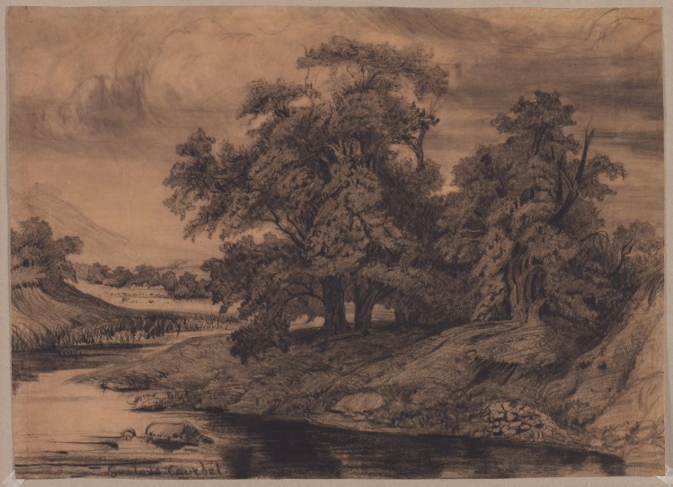 Landscape with Large Trees