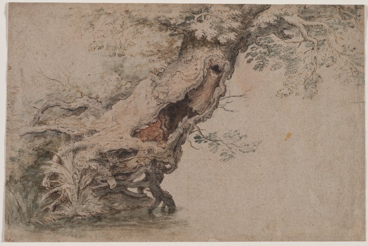 Hollow Tree, after Roelant Savery