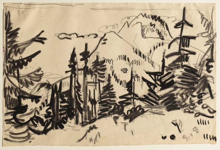 Mountain Landscape with Fir Trees