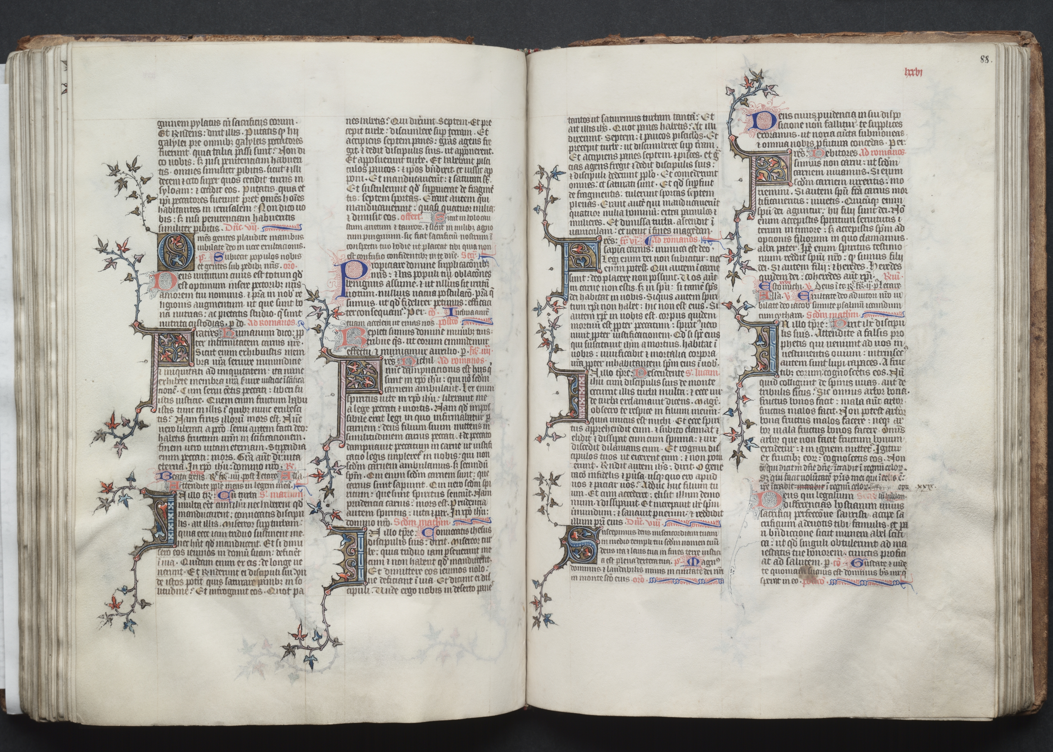 The Gotha Missal:  Fol. 88r, Text