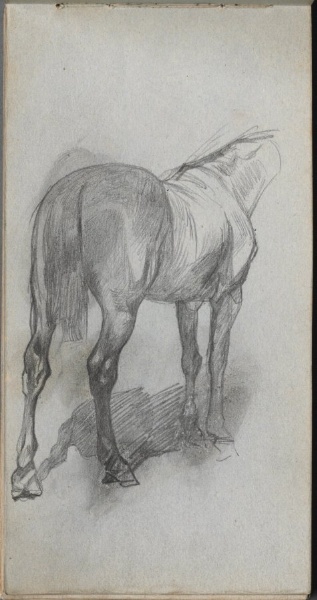 Sketchbook, page 76: Study of a Horse
