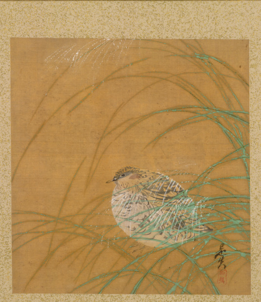 Quail in Grass from Album of Paintings by the Venerable Zeshin