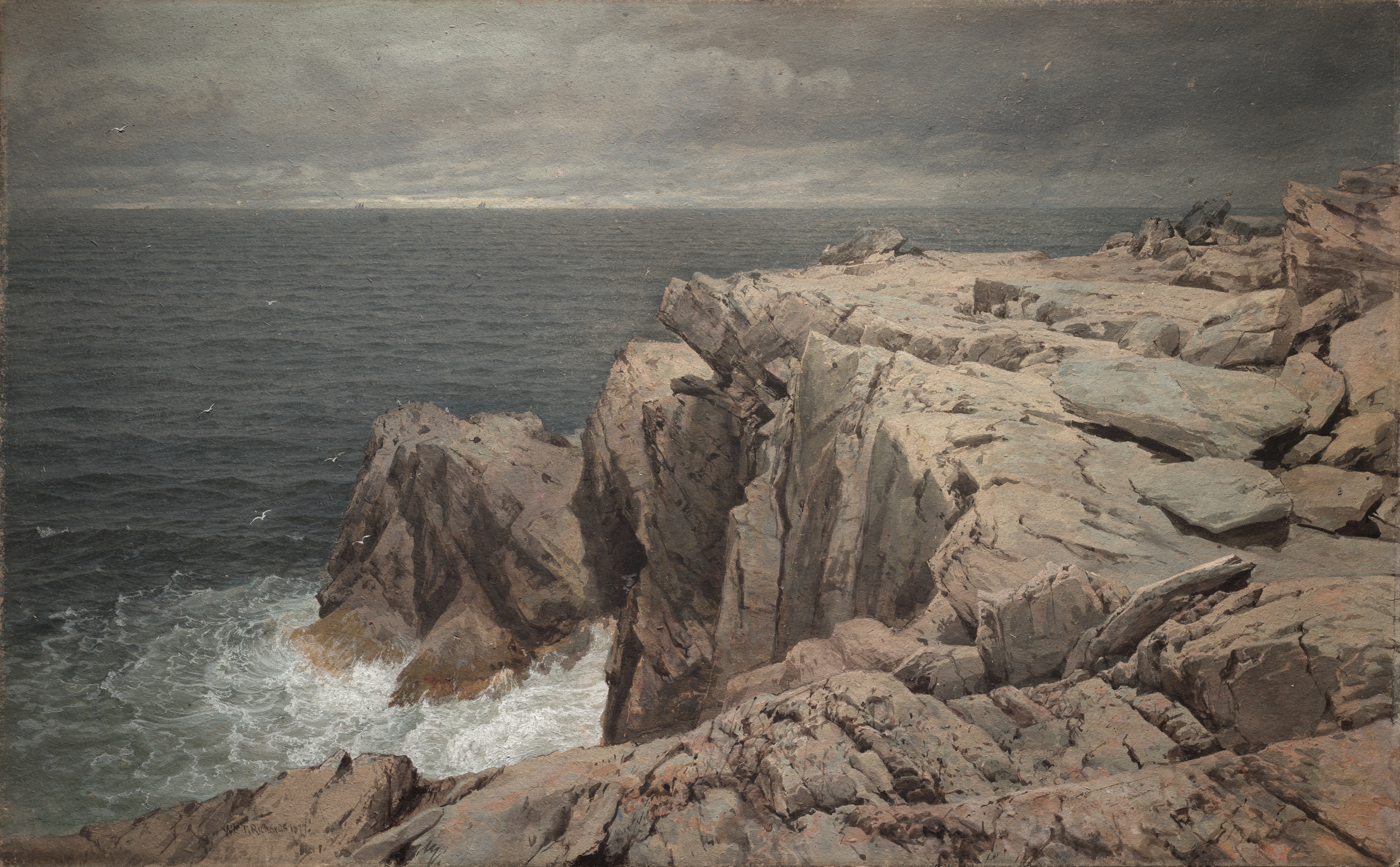 Cormorant Cliff, Jamestown, Rhode Island