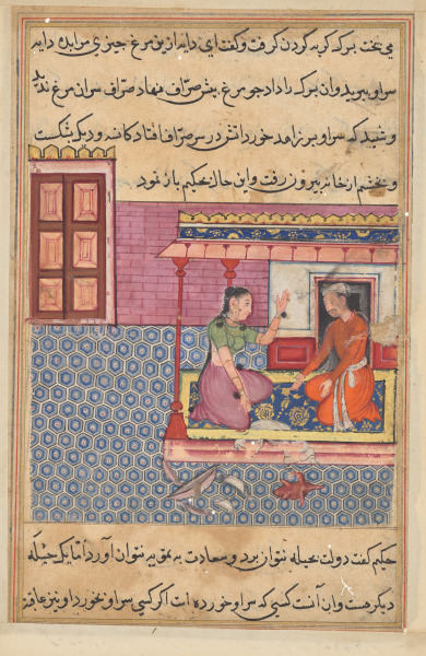The pious man’s wife offers the seven-colored bird as food to her lover, but not finding its head, he breaks the pot and bowl in anger, from a Tuti-nama (Tales of a Parrot): Fifty-second Night