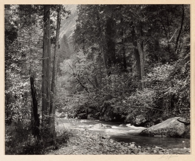 Tenaya Creek, Spring Rain, from Yosemite Valley Portfolio III