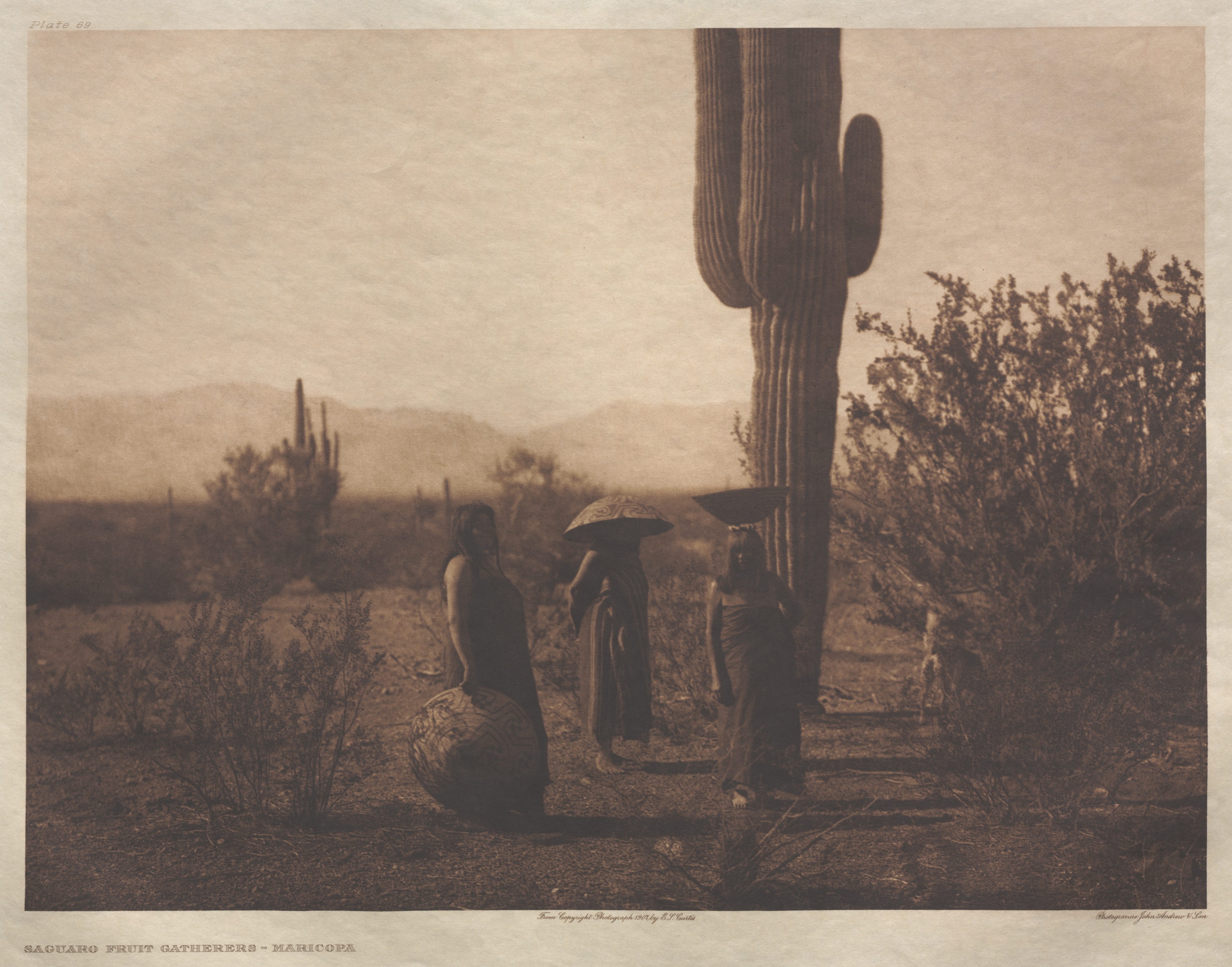 Portfolio II, Plate 69: Saguaro Fruit Gatherers-Maricopa