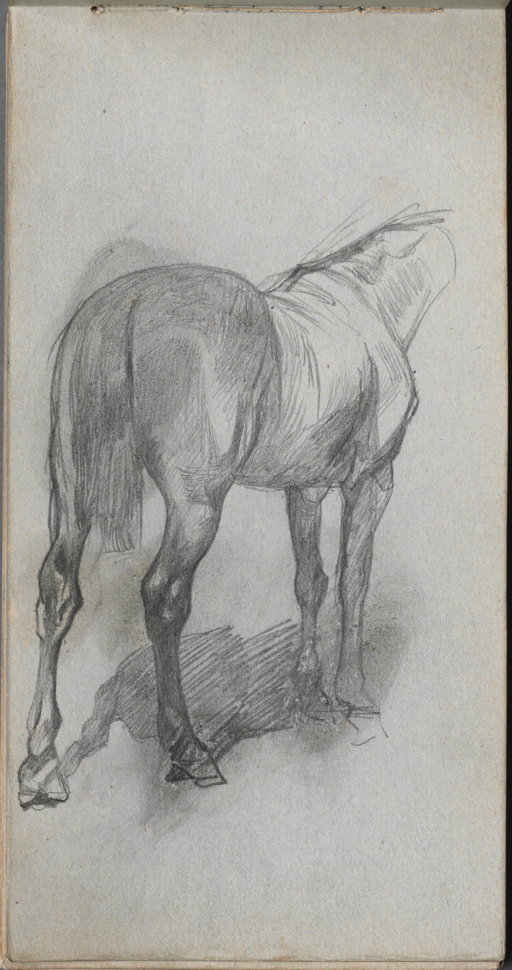 Sketchbook, page 76: Study of a Horse