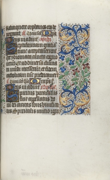 Book of Hours (Use of Rouen): fol. 101r