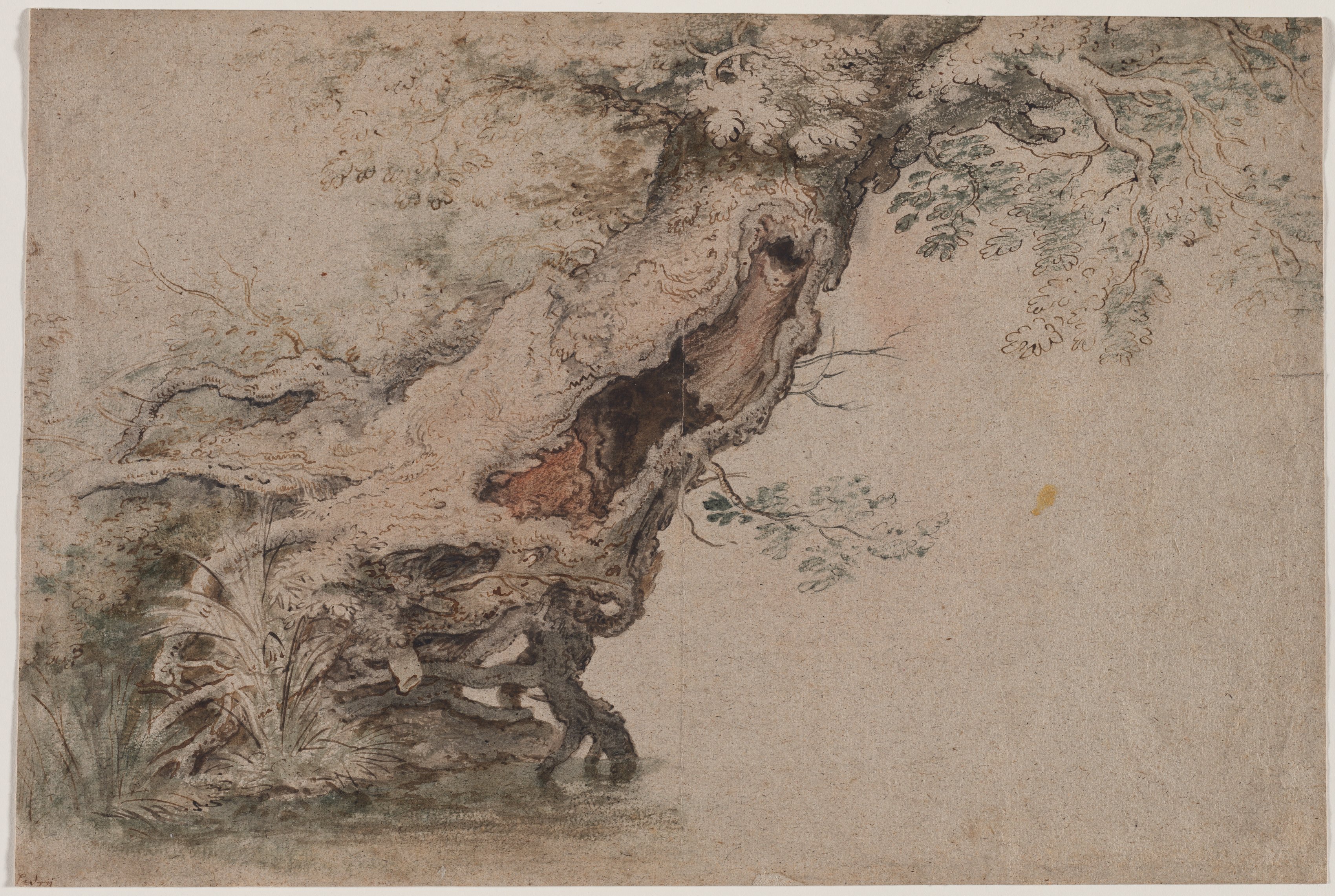 Hollow Tree, after Roelant Savery