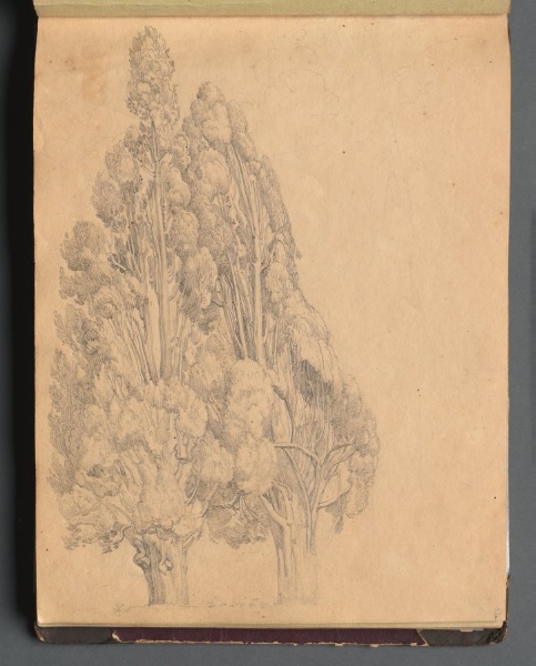 Album with Views of Rome and Surroundings, Landscape Studies, page 13a: Trees