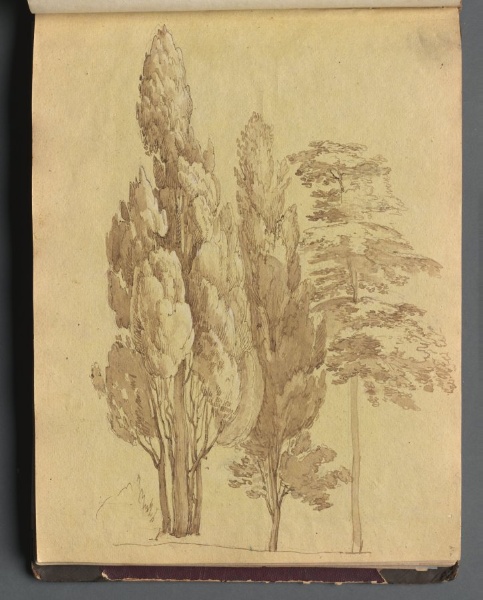 Album with Views of Rome and Surroundings, Landscape Studies, page 15a: Trees