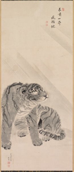 Tiger in Wind