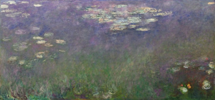 Water Lilies (Agapanthus)