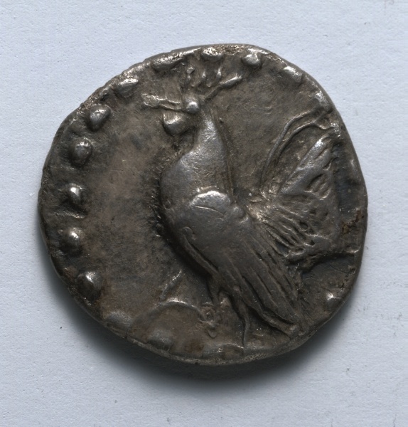 Drachm: Rooster (obverse)