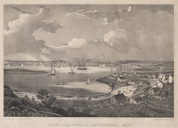 View of the Town of Gloucester, Mass.