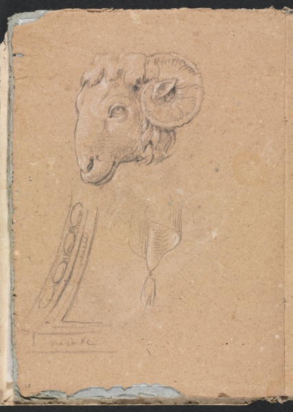 Verona Sketchbook: Ram's head (page12)
