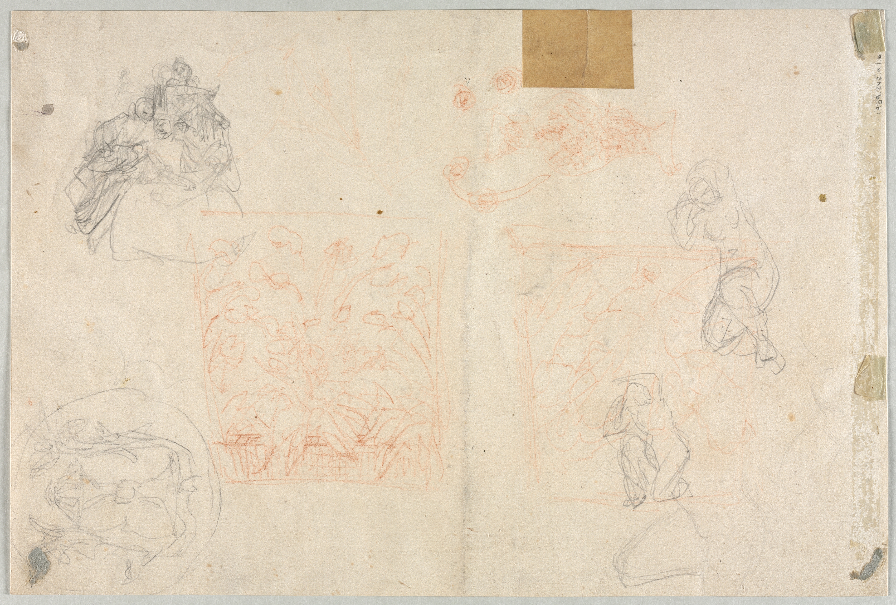 Various Sketches of Figures and Plants (verso)