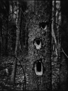 Violet Romer as Psyche, III | Cleveland Museum of Art