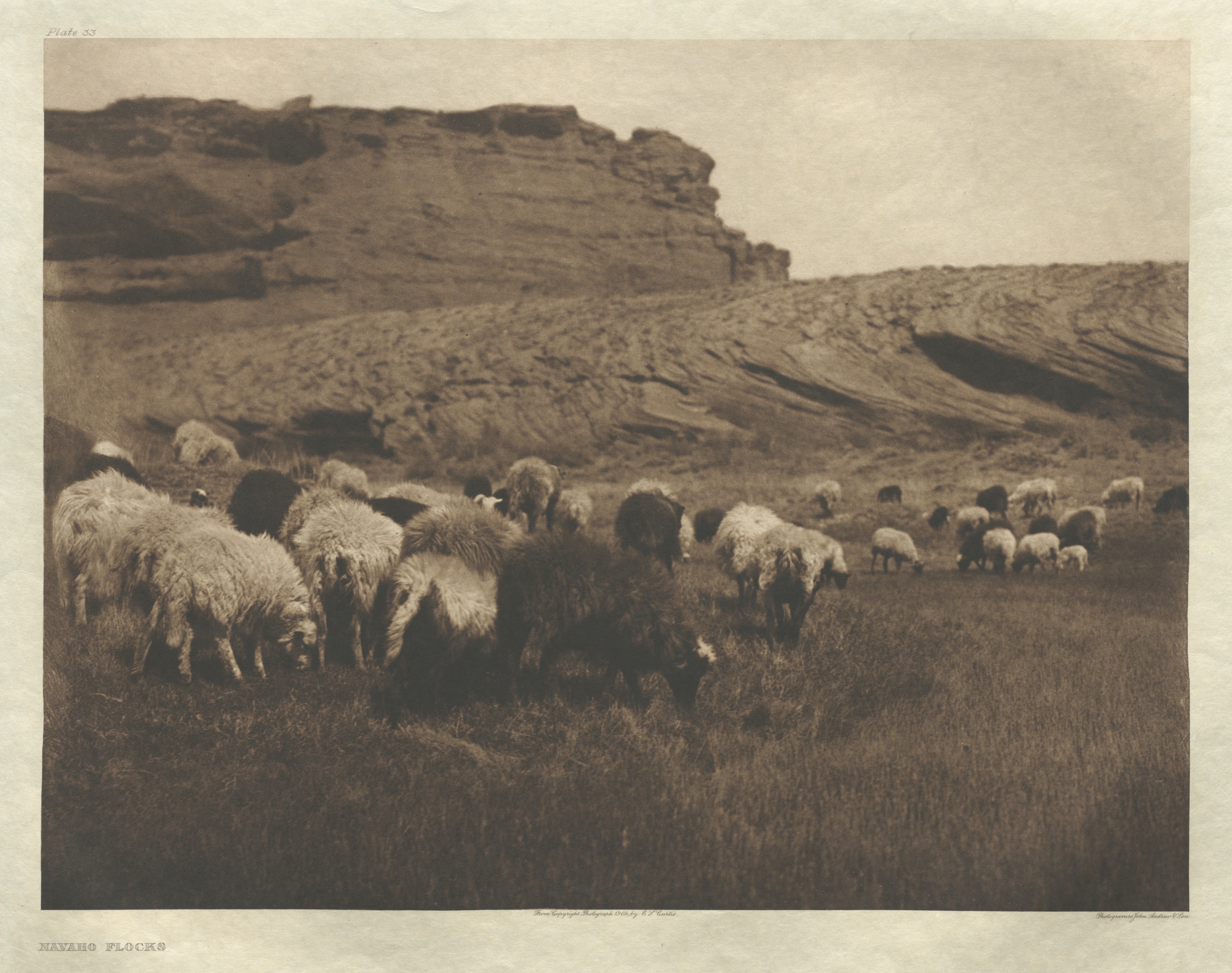 Portfolio I, Plate 33: Navaho Flocks