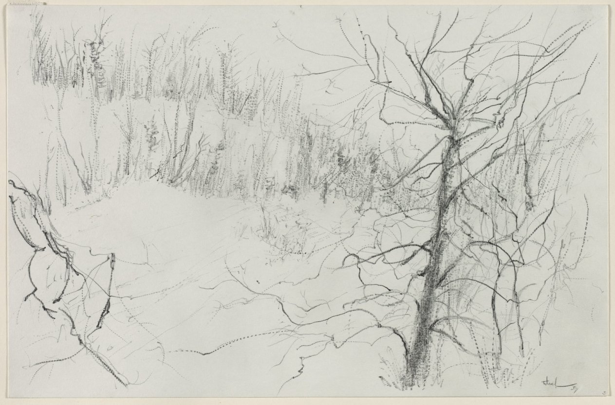 Trees and Fields, Peter Takal, 1957