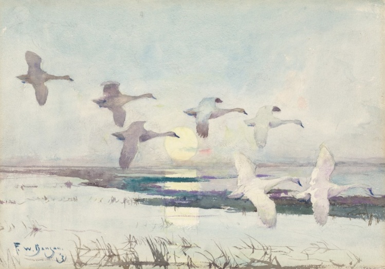 Swans at Moonlight