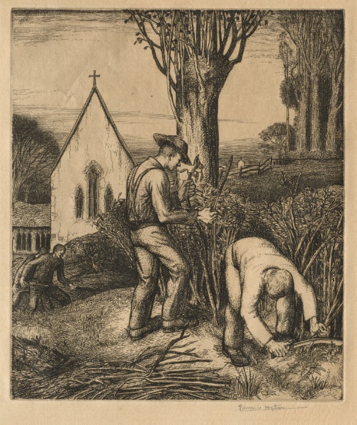Churchyard Pruning