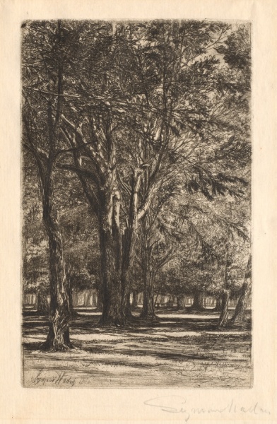 Kensington Gardens, No. 2 (Large Plate)