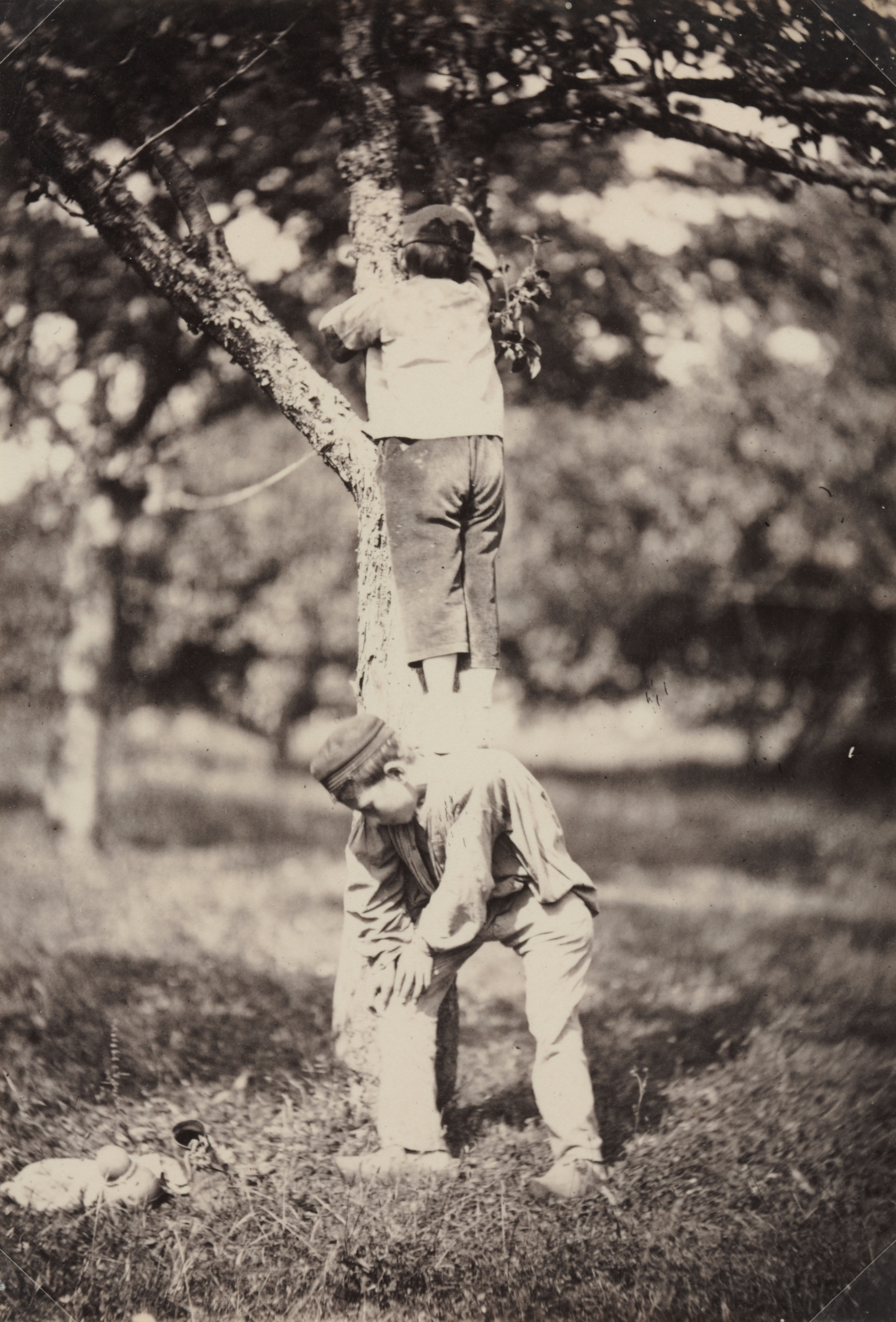French Country Study: Two Boys Climbing a Tree