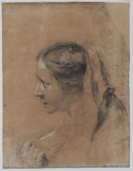Head of a Woman in Profile with a Scarf