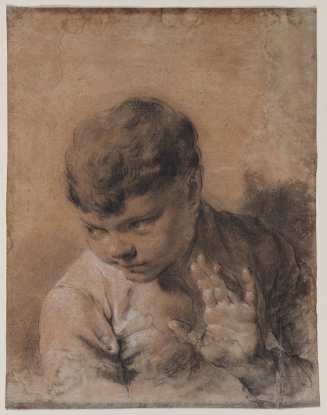 A Portrait of the Artist's Son Giacomo